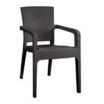 ΠΟΛΥΘΡΟΝΑ ΠΟΛΥΠΡΟΠΥΛΕΝΙΟΥ RATTAN HM5590.10 ΧΡΩΜΑ ΑΝΘΡΑΚΙ 58x55x87 cm.