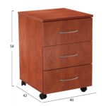 ΣΥΡΤΑΡΙΕΡΑ DEVON ΓΡΑΦΕΙΟΥ APPLE WOOD HM2452.04 40Χ42Χ58Υεκ. - Image 2