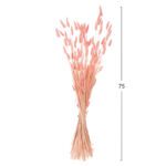 ΔΙΑΚΟΣΜΗΤΙΚΟ ΜΠΟΥΚΕΤΟ ΑΠΟΞΗΡΑΜΕΝΟ HM7960 RABBIT TAIL-PINK 75Υεκ. - Image 2
