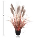 ΔΙΑΚΟΣΜΗΤΙΚΟ ΣΥΝΘΕΤΙΚΟ ΦΥΤΟ ΣΕ ΓΛΑΣΤΡΑ GRASS+FEATHER Φ14,5x12,5-86Υ εκ. HM4015 - Image 2
