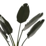 ΔΙΑΚΟΣΜΗΤΙΚΟ ΣΥΝΘΕΤΙΚΟ ΦΥΤΟ HM7969 ΣΤΡΕΛΙΤΣΙΑ ΜΕ ΓΛΑΣΤΡΑ 115Υεκ. - Image 4