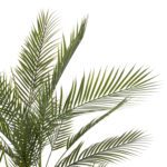 ΔΙΑΚΟΣΜΗΤΙΚΟ ΣΥΝΘΕΤΙΚΟ ΦΥΤΟ HM7970 KWAI TREE ΣΕ ΓΛΑΣΤΡΑ Φ17x14,5-155Υεκ. - Image 3