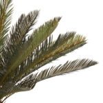 ΔΙΑΚΟΣΜΗΤΙΚΟ ΣΥΝΘΕΤΙΚΟ ΦΥΤΟ HM7983 ΑΚΑΝΘΩΔΕΣ ΦΟΙΝΙΚΟΔΕΝΤΡΟ ΣΕ ΓΛΑΣΤΡΑ 94Υεκ. - Image 4